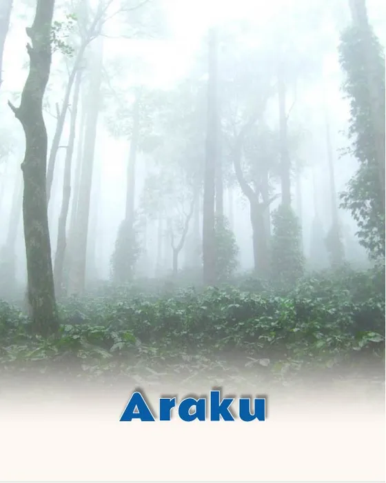 Coffee hills of Araku Valley