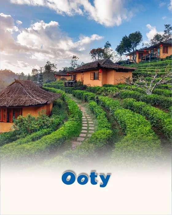Nilgiri hills at Ooty